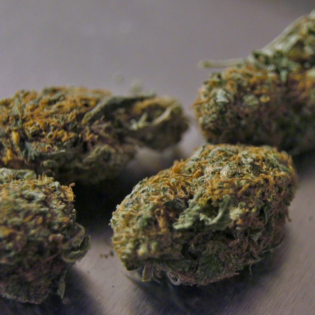 plant-leaf-pot-dish-food-green-617421-pxhere.com (1)