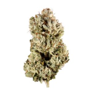 Buy GG4 Online