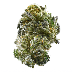 Buy GSC Online