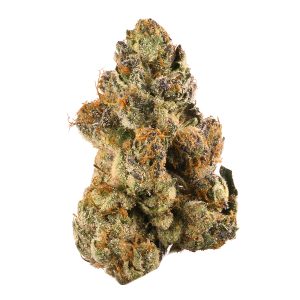 Buy Gelato Online