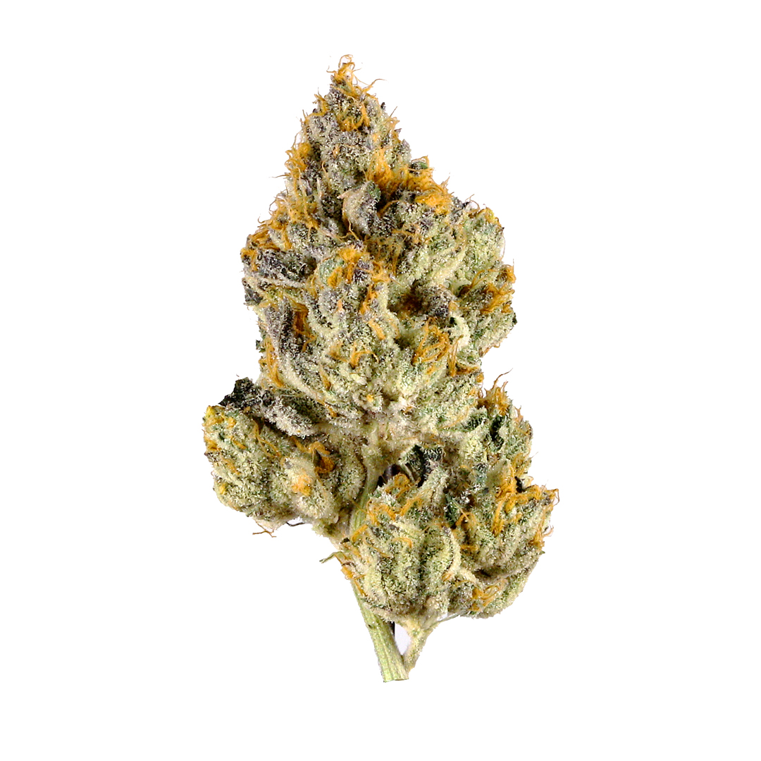 Buy Lemon Cherry Gelato