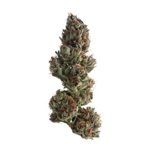 Buy Runtz Online