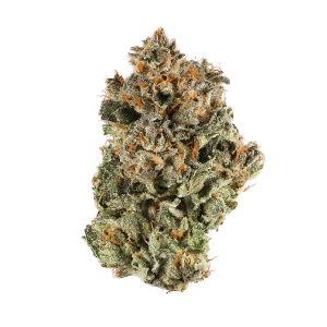 Buy Sunset Sherbet Online