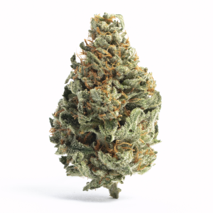 Buy White Runtz Online