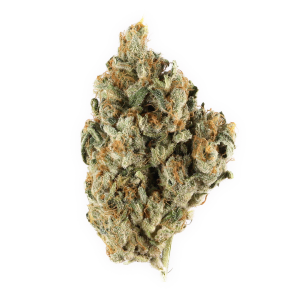 Buy Blackberry Kush Online