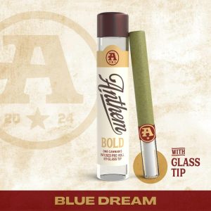 Bold Glass Tip Infused - Blue Dream Pre-Roll 1g
