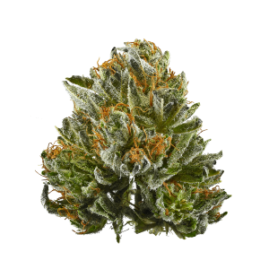 Buy Bubba Kush Online