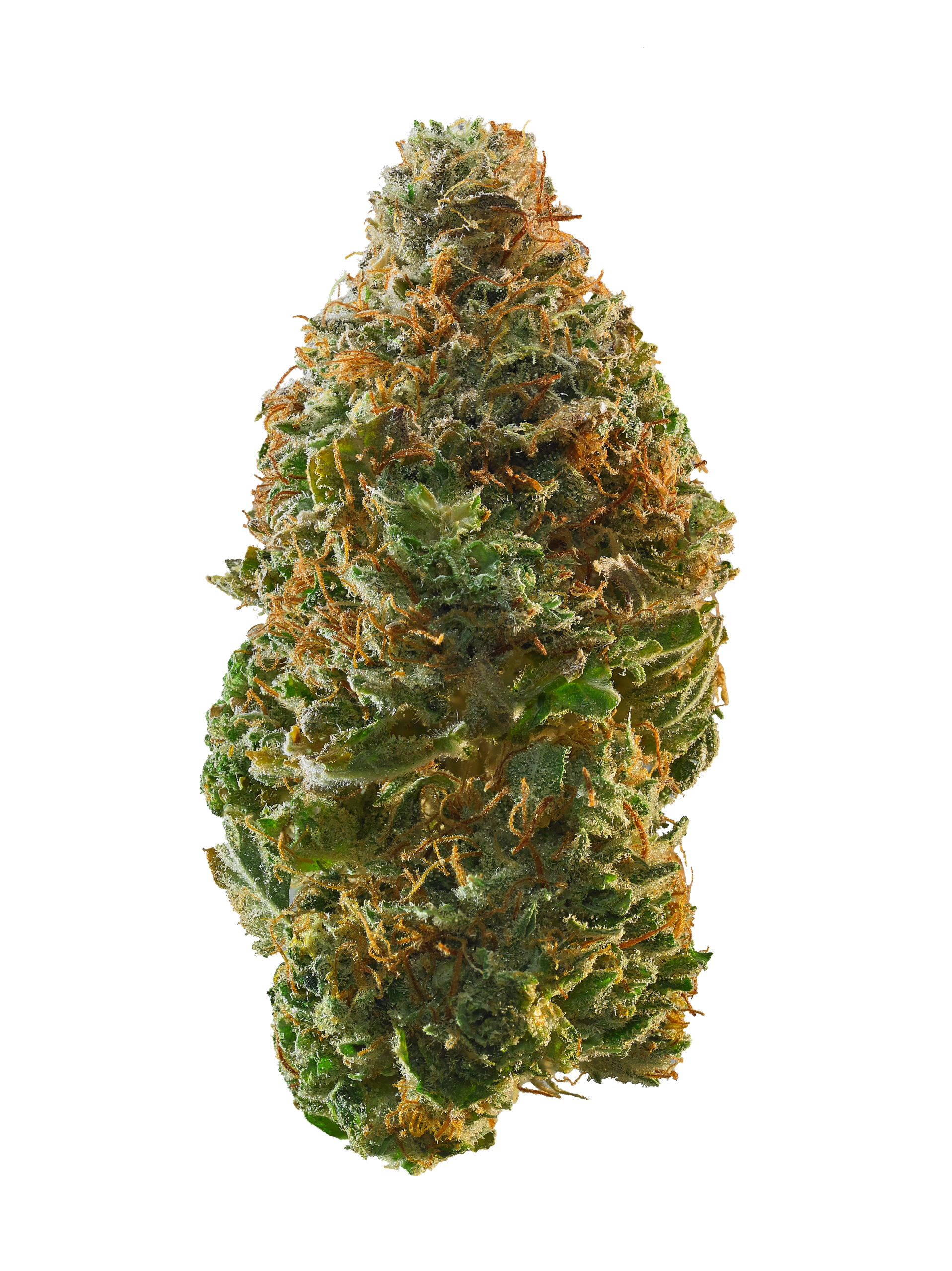 Buy Kosher Kush Online